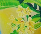 DILAW NA KALACHUCHI - Acrylic Painting by Maria Karla L. Gonzales