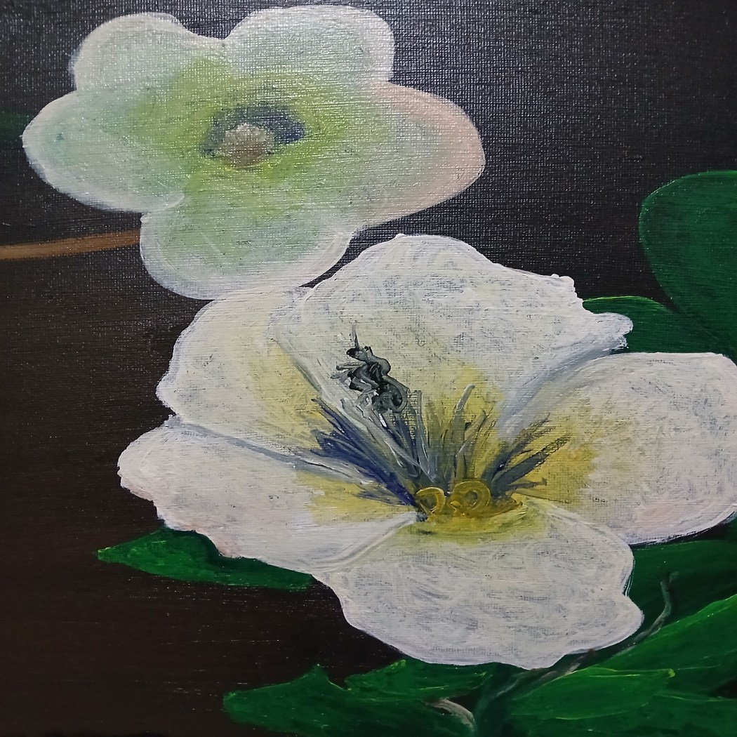 Turnera Ulmifolia - Acrylic Painting by Maria Karla L. Gonzales